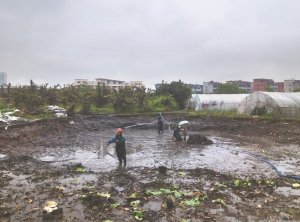 恒山河道鱼塘清淤